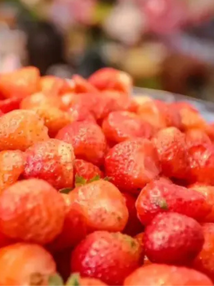 Design sem nome - 2026-01-30T171817.806